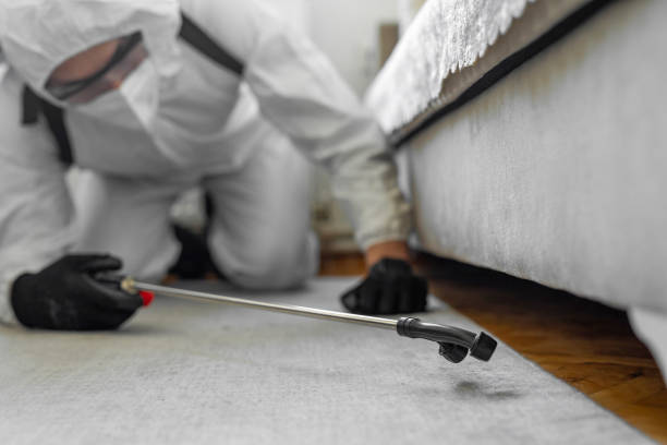 Professional Bed Bug Control technician working in Alburtis, PA